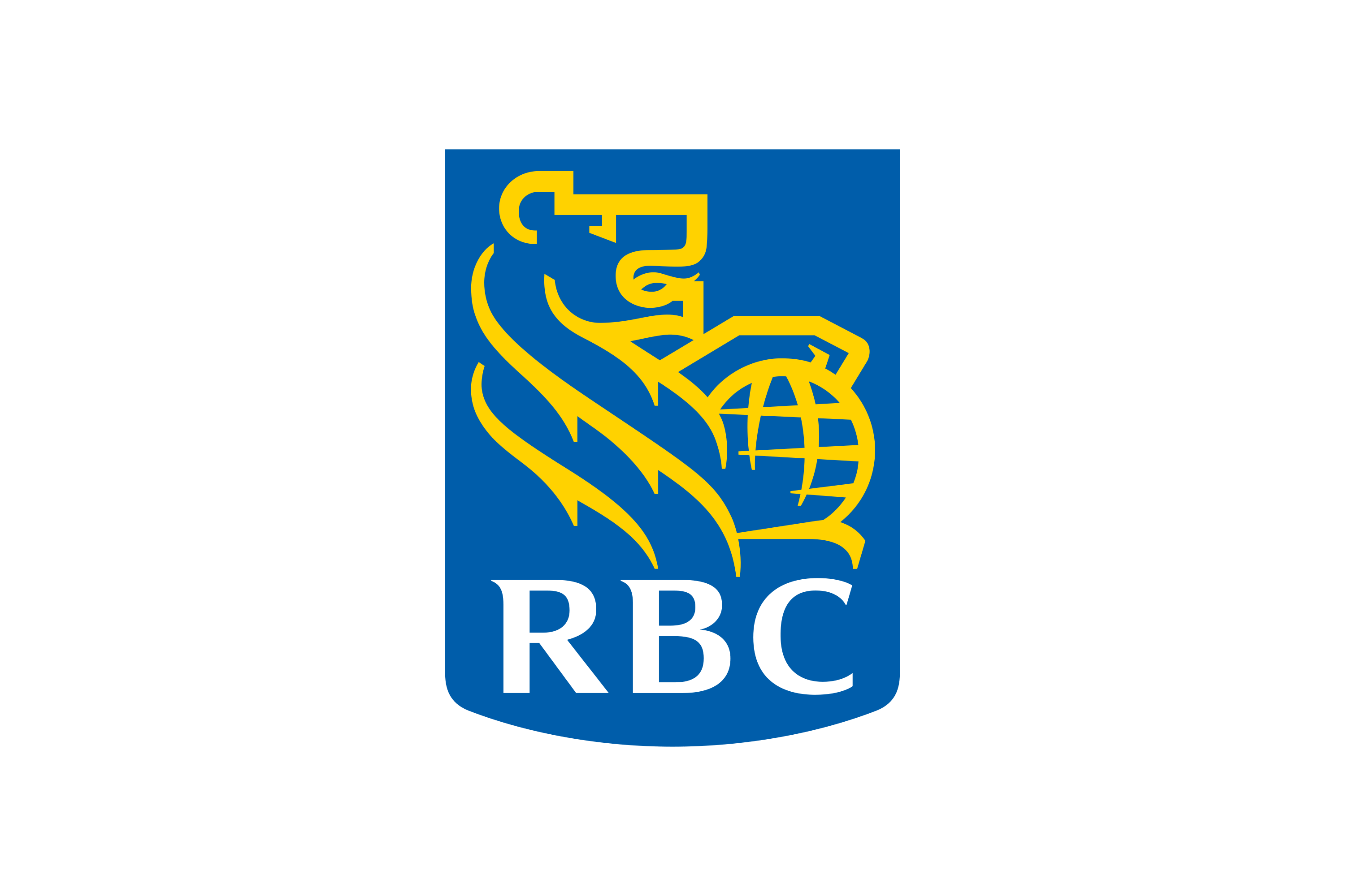 RBC Wealth Management Dominion Securities logo